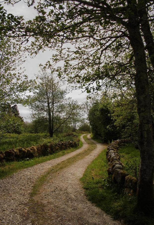 Cnoc Suain Villa Galway Exterior photo