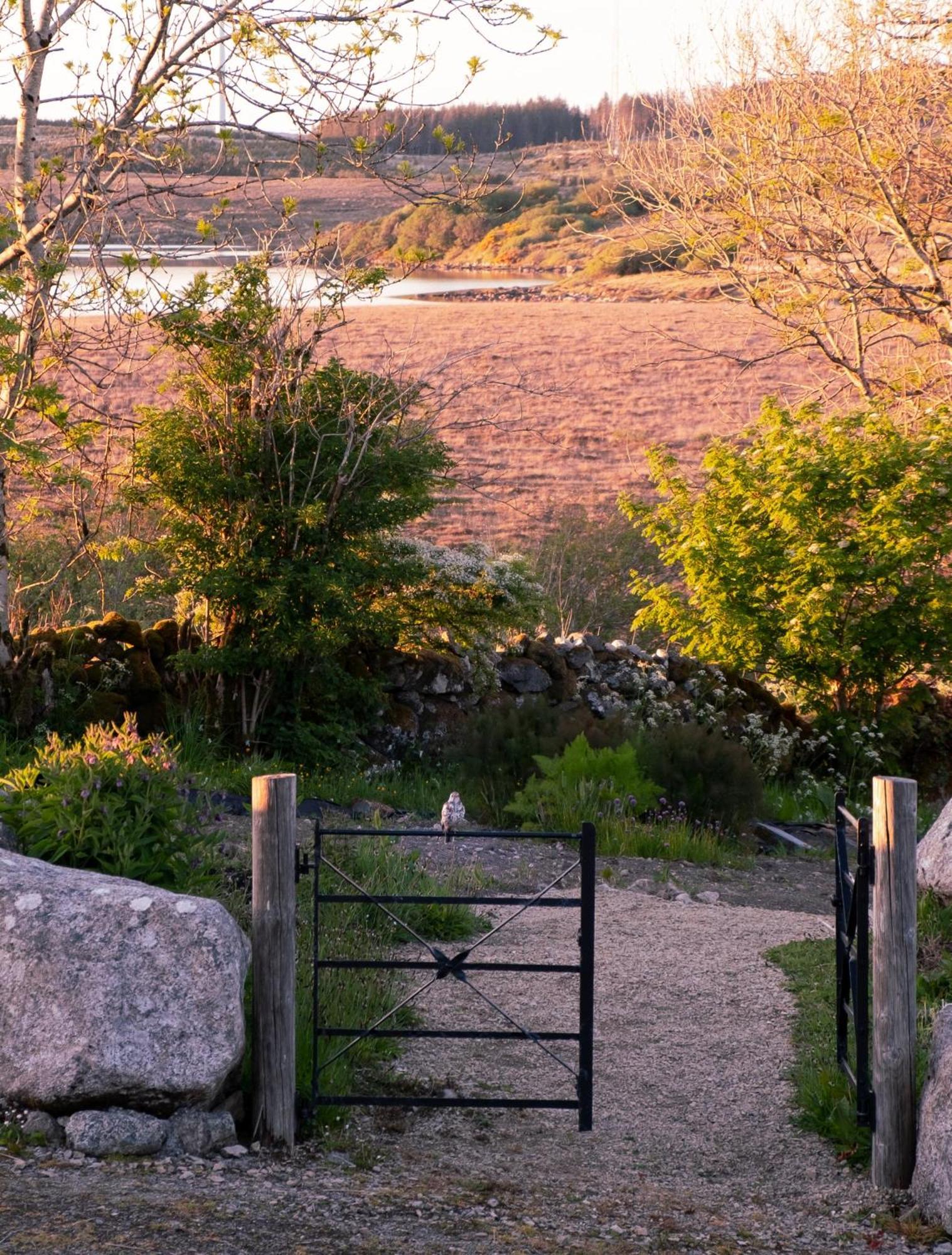 Cnoc Suain Villa Galway Exterior photo
