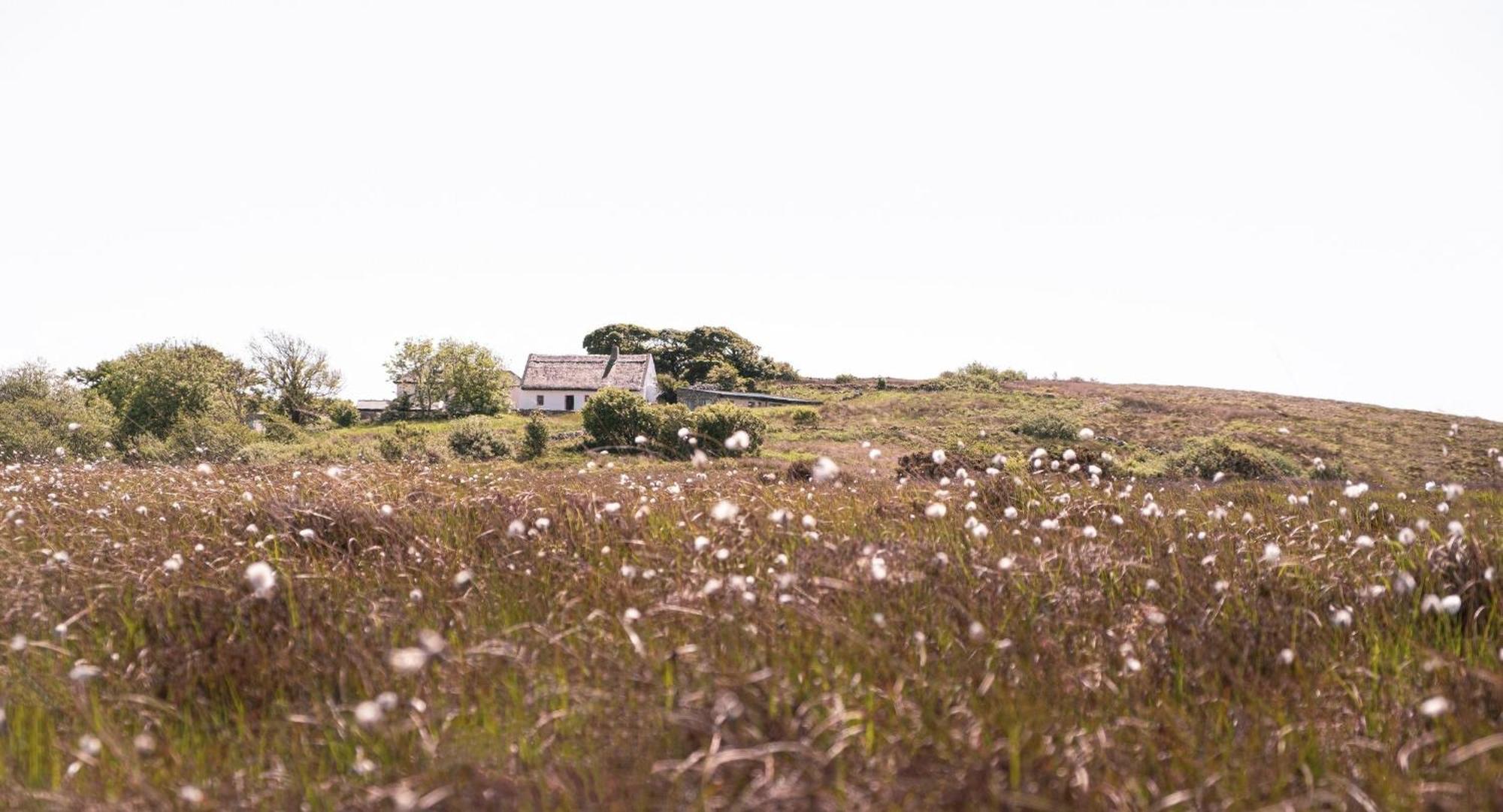 Cnoc Suain Villa Galway Exterior photo